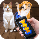 我的猫猫狗狗翻译器 v1.9