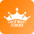 2MB