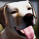 狗舍模拟器3D v2.0