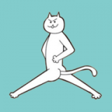 机智猫咪 v2.0.0