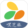 嘿芝麻智慧通行 v1.2.1
