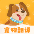 波奇猫语狗语交流器 v4.1.11
