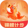 锦鲤计步 v1.2.6