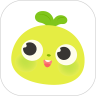 青柚子启蒙 v1.3.6.7