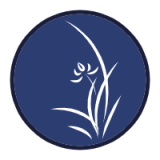 壁纸湖 v1.2