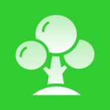 树林记忆 v1.1