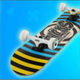 223.3MB