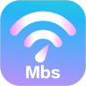 24.9MB