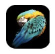 好用动态壁纸 v1.2.6
