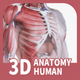 口袋人体解剖 v2.1.4