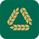 麦手 v1.2.24
