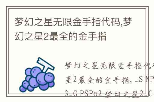 梦幻之星无限金手指代码,梦幻之星2最全的金手指