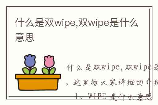 什么是双wipe,双wipe是什么意思