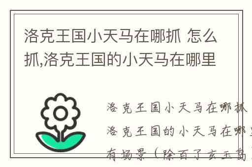 洛克王国小天马在哪抓 怎么抓,洛克王国的小天马在哪里抓