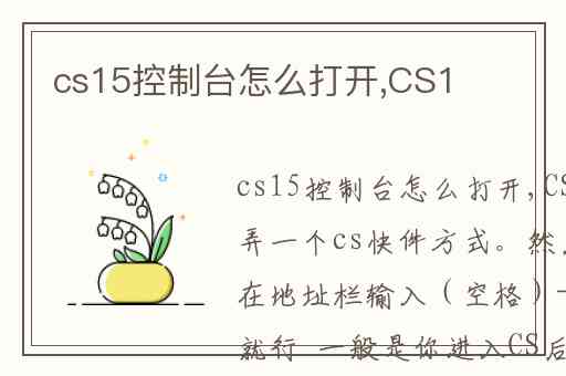 cs15控制台怎么打开,CS1