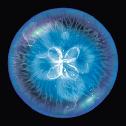 星噬手机版正版2.5.0