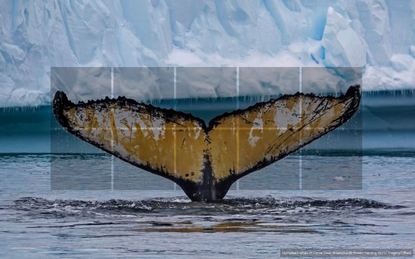 使用RSS替换新标签Glance - New Tab replacement with RSS v1.0.1 安装版