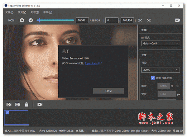 video enhance ai中文补丁 免费版(附使用教程)