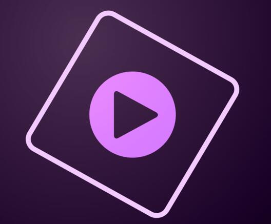 视频编辑器 Adobe Premiere Elements  2019 中文完美版