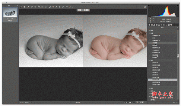Adobe Camera Raw 13 for Mac v13.2.0.738 苹果电脑版