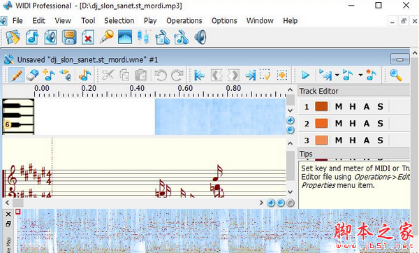 WIDI Recognition System Professional(mp3转mid转换器) v4.5.0 特别安装版