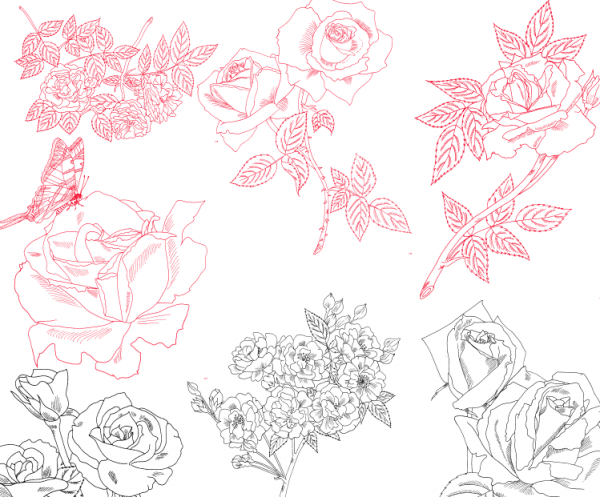 Photoshop手绘线框式鲜花花朵图案花纹笔刷 最新免费版