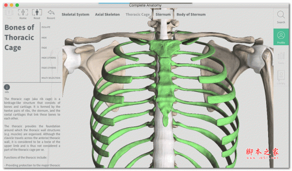 Complete Anatomy 2018 for Mac(3D人体解剖结构学习软件) v3.0.0 苹果电脑特别版