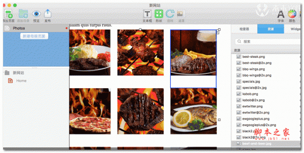 EverWeb for Mac(网页网站创建工具) v3.5 一键安装苹果特别版
